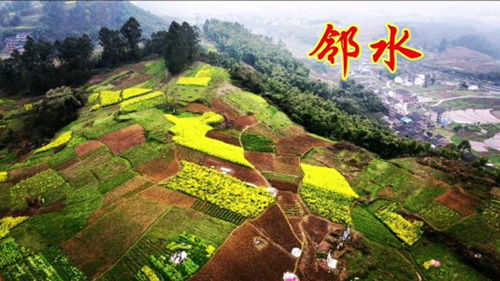 航拍四川鄰水縣,房價比主城區(qū)還高,很多人去重慶發(fā)展