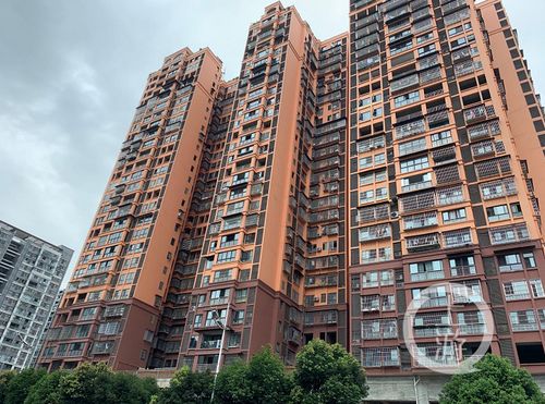 四川男子陷565萬元債務(wù)執(zhí)行難,當事人稱代理律師失職索賠千萬