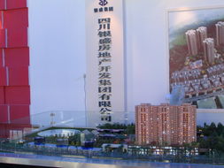 天府之國(guó)，家園新篇——四川房地產(chǎn)名優(yōu)特新產(chǎn)品展示會(huì)側(cè)影